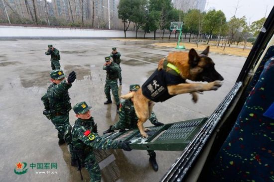 安徽武警備戰(zhàn)春運(yùn)出動無人機(jī) 警犬搶鏡